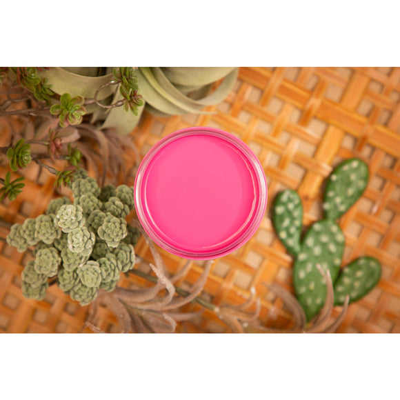 Dixie Belle Silk All In One Mineral Paint Prickly Pear