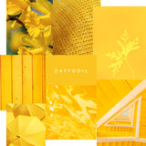 Artisan Mineral Paint Daffodil