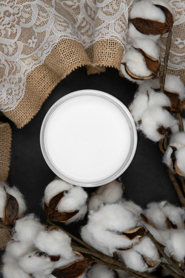 Dixie Belle Chalk Mineral Paint Cotton Chalk and Mirrors