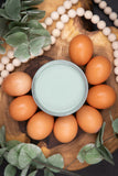 Dixie Belle Chalk Mineral Paint Vintage Duck Egg